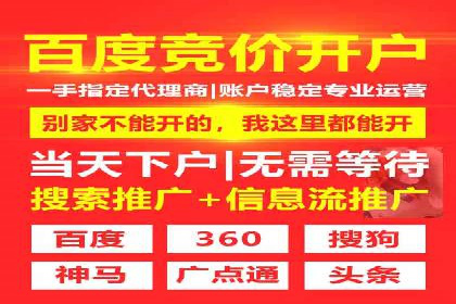 深入解析SEM竞价托管的成功案例